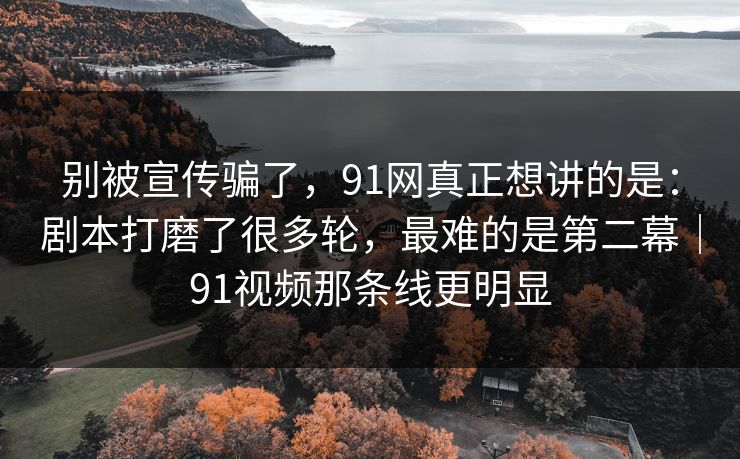 别被宣传骗了，91网真正想讲的是：剧本打磨了很多轮，最难的是第二幕｜91视频那条线更明显  第1张