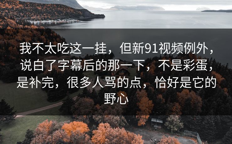 我不太吃这一挂，但新91视频例外，说白了字幕后的那一下，不是彩蛋，是补完，很多人骂的点，恰好是它的野心