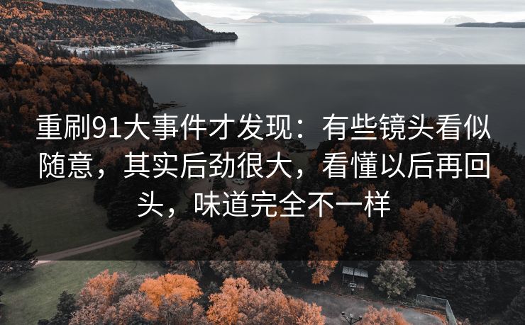 重刷91大事件才发现：有些镜头看似随意，其实后劲很大，看懂以后再回头，味道完全不一样