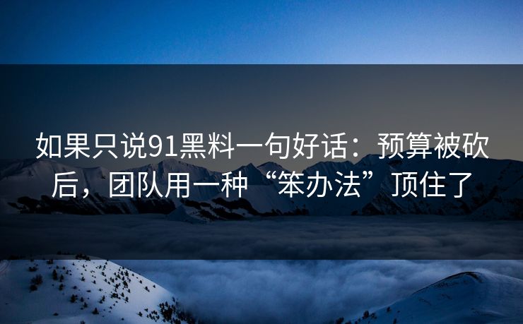 如果只说91黑料一句好话：预算被砍后，团队用一种“笨办法”顶住了