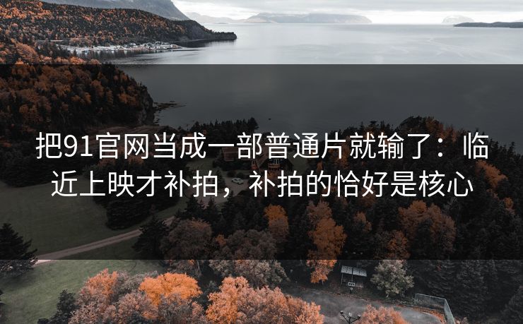 把91官网当成一部普通片就输了：临近上映才补拍，补拍的恰好是核心