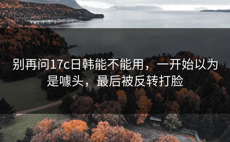 别再问17c日韩能不能用，一开始以为是噱头，最后被反转打脸